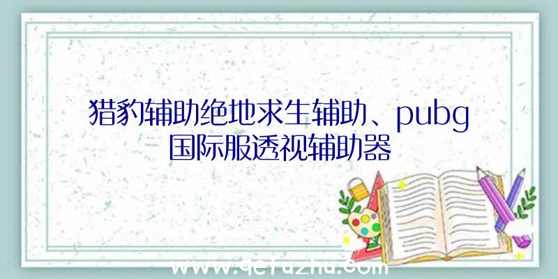 猎豹辅助绝地求生辅助、pubg国际服透视辅助器