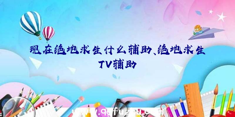 现在绝地求生什么辅助、绝地求生TV辅助