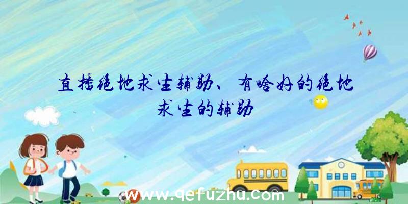 直播绝地求生辅助、有啥好的绝地求生的辅助