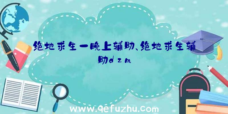 绝地求生一晚上辅助、绝地求生辅助dzm