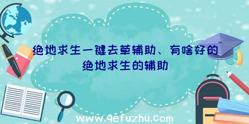 绝地求生一键去草辅助、有啥好的绝地求生的辅助