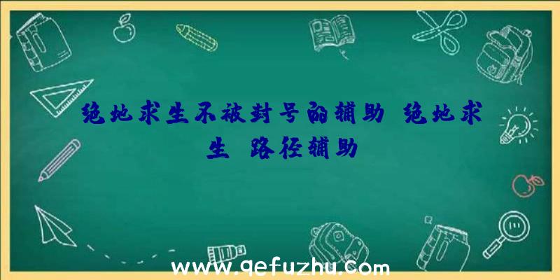 绝地求生不被封号的辅助、绝地求生