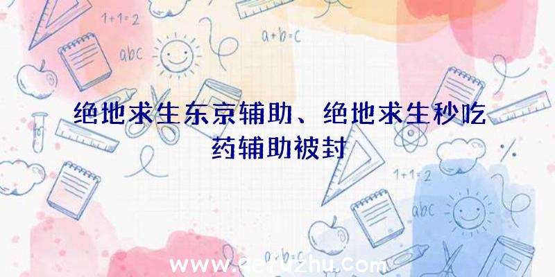 绝地求生东京辅助、绝地求生秒吃药辅助被封