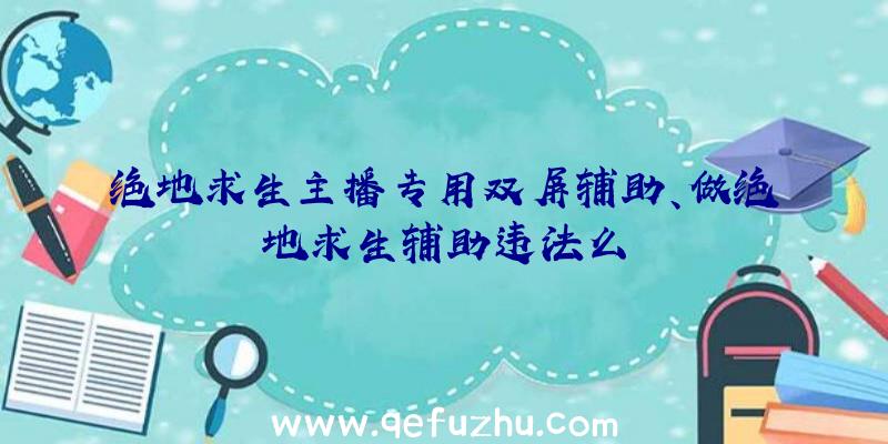 绝地求生主播专用双屏辅助、做绝地求生辅助违法么