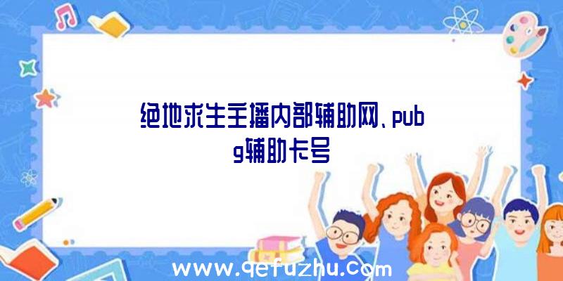 绝地求生主播内部辅助网、pubg辅助卡号