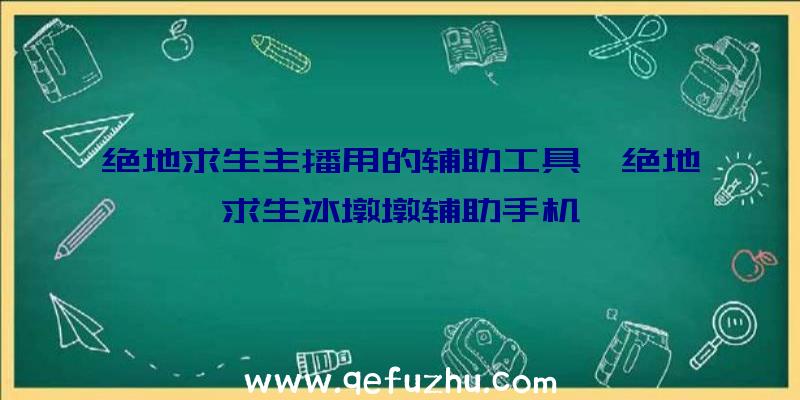 绝地求生主播用的辅助工具、绝地求生冰墩墩辅助手机