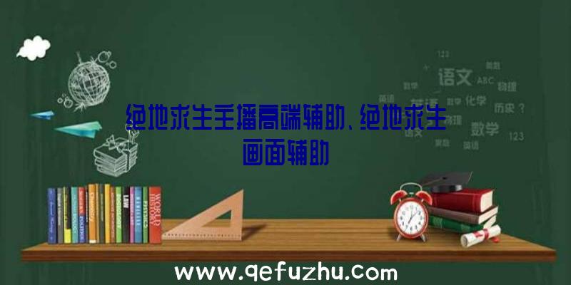 绝地求生主播高端辅助、绝地求生画面辅助