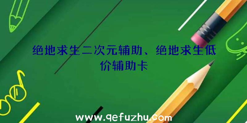 绝地求生二次元辅助、绝地求生低价辅助卡