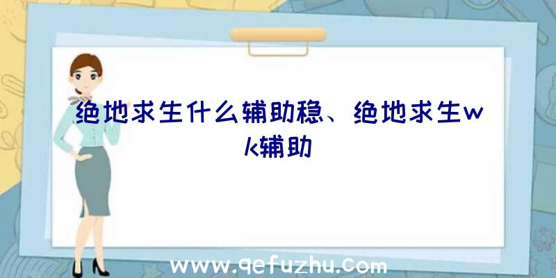 绝地求生什么辅助稳、绝地求生wk辅助