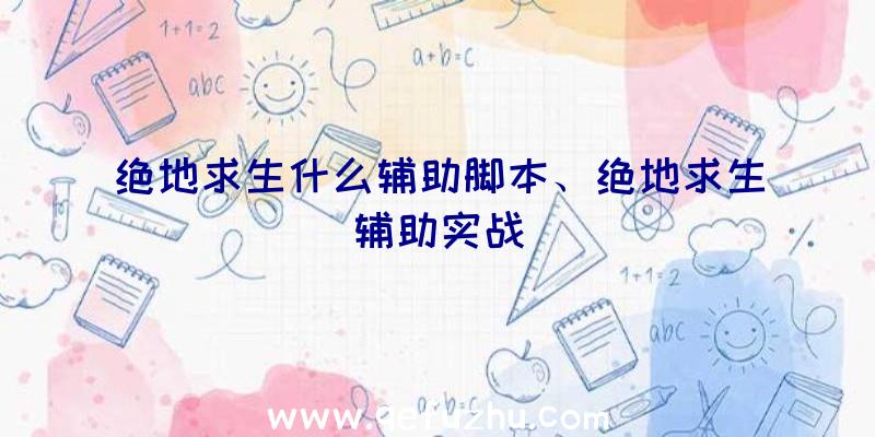 绝地求生什么辅助脚本、绝地求生辅助实战