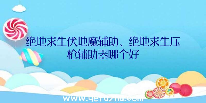 绝地求生伏地魔辅助、绝地求生压枪辅助器哪个好