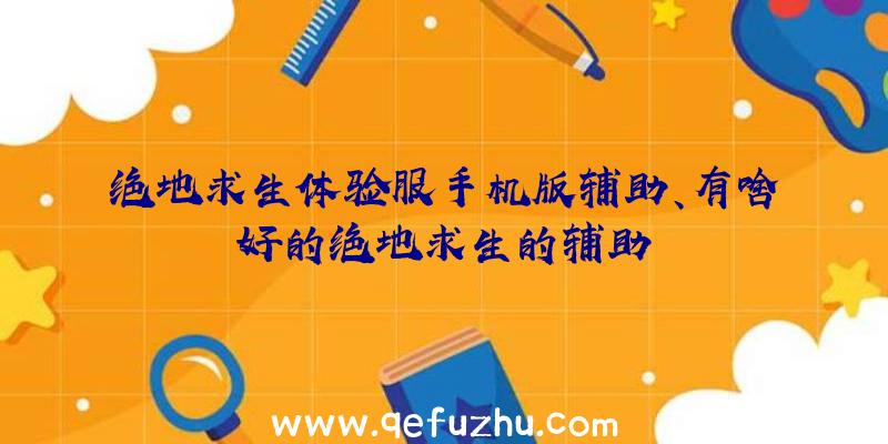 绝地求生体验服手机版辅助、有啥好的绝地求生的辅助