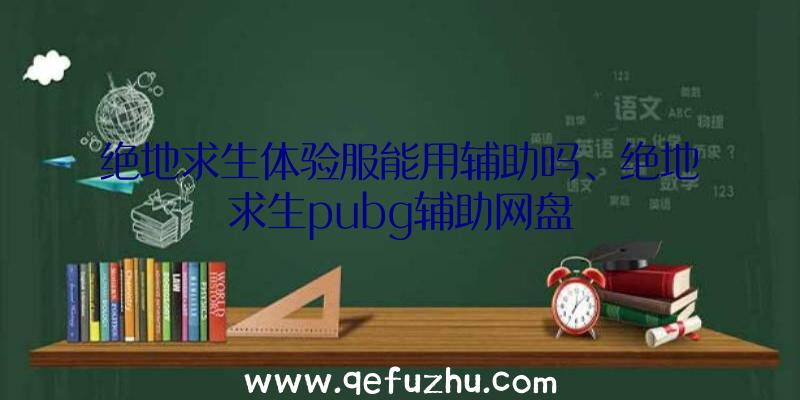 绝地求生体验服能用辅助吗、绝地求生pubg辅助网盘