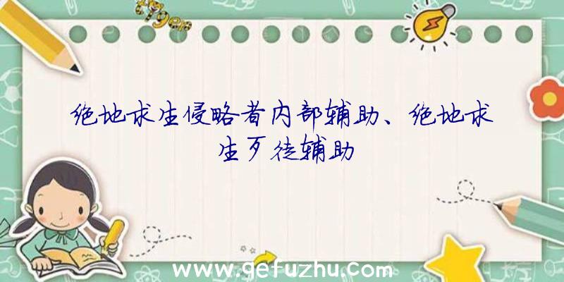 绝地求生侵略者内部辅助、绝地求生歹徒辅助