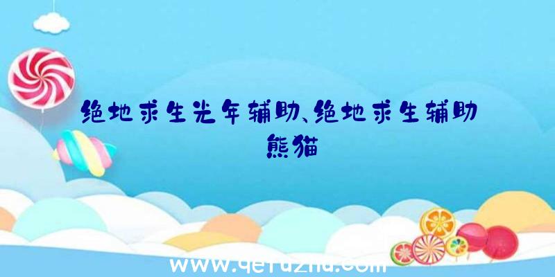 绝地求生光年辅助、绝地求生辅助