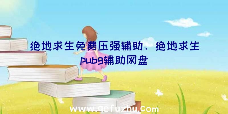 绝地求生免费压强辅助、绝地求生pubg辅助网盘