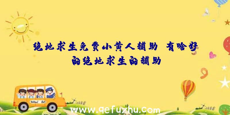 绝地求生免费小黄人辅助、有啥好的绝地求生的辅助