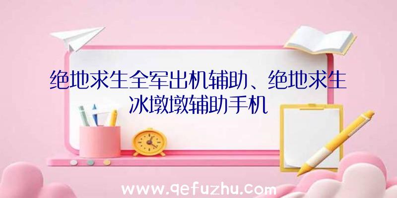 绝地求生全军出机辅助、绝地求生冰墩墩辅助手机