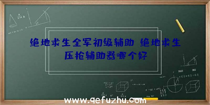 绝地求生全军初级辅助、绝地求生压枪辅助器哪个好