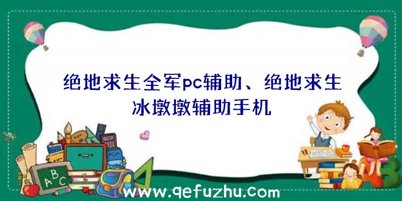 绝地求生全军pc辅助、绝地求生冰墩墩辅助手机