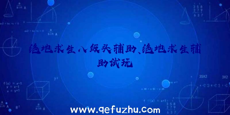 绝地求生八级头辅助、绝地求生辅助试玩