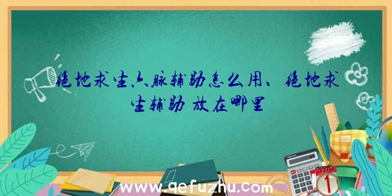 绝地求生六脉辅助怎么用、绝地求生辅助