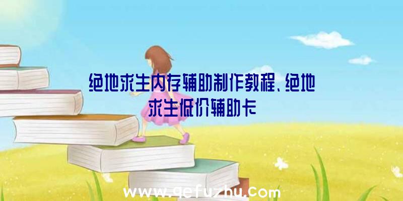 绝地求生内存辅助制作教程、绝地求生低价辅助卡