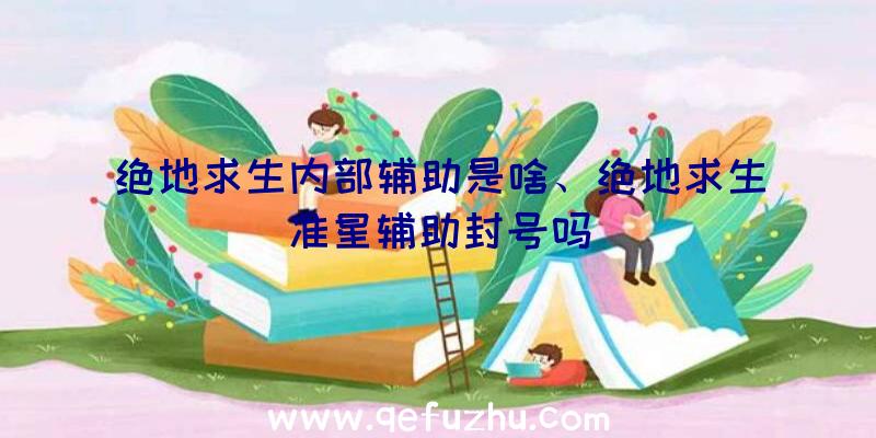 绝地求生内部辅助是啥、绝地求生准星辅助封号吗