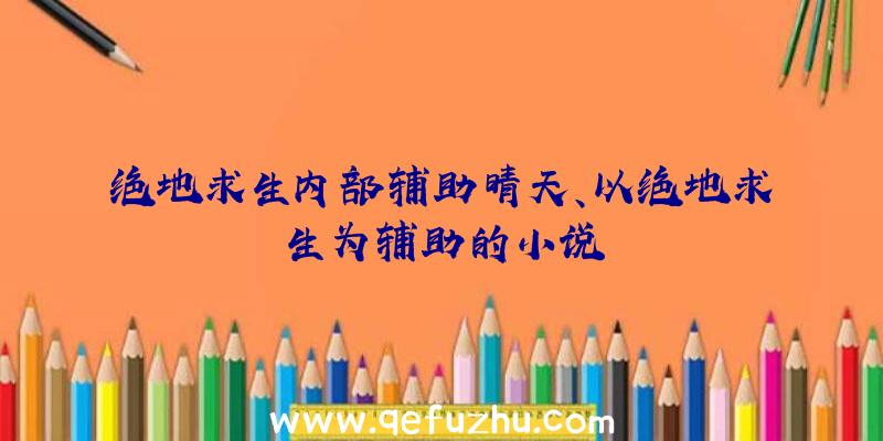 绝地求生内部辅助晴天、以绝地求生为辅助的小说