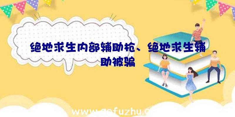 绝地求生内部辅助枪、绝地求生辅助被骗