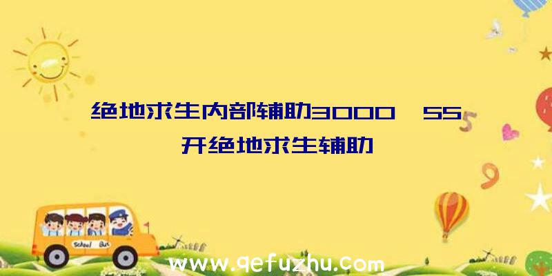 绝地求生内部辅助3000、55开绝地求生辅助