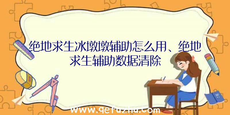 绝地求生冰墩墩辅助怎么用、绝地求生辅助数据清除