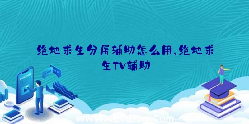 绝地求生分屏辅助怎么用、绝地求生TV辅助