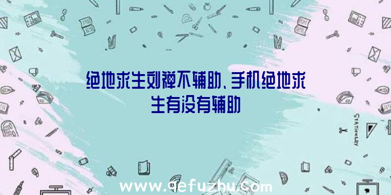 绝地求生刘禅不辅助、手机绝地求生有没有辅助