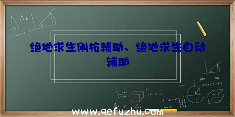 绝地求生刚枪辅助、绝地求生自动辅助