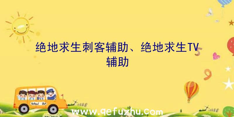 绝地求生刺客辅助、绝地求生TV辅助