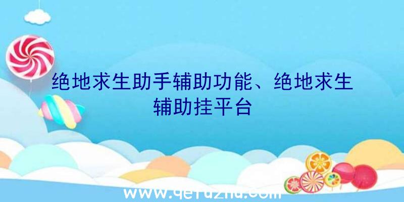 绝地求生助手辅助功能、绝地求生辅助挂平台