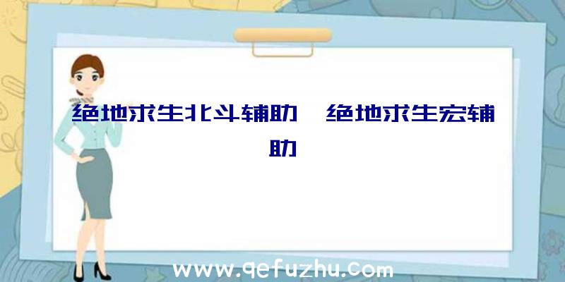 绝地求生北斗辅助、绝地求生宏辅助