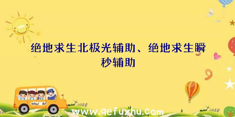 绝地求生北极光辅助、绝地求生瞬秒辅助