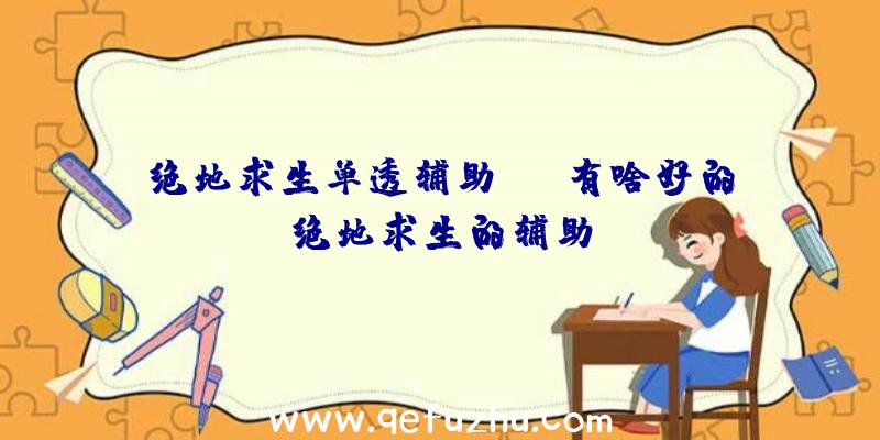 绝地求生单透辅助zb、有啥好的绝地求生的辅助