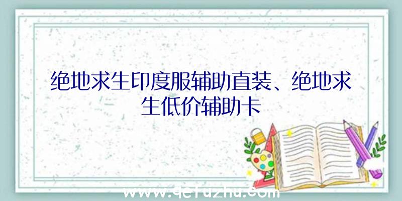 绝地求生印度服辅助直装、绝地求生低价辅助卡