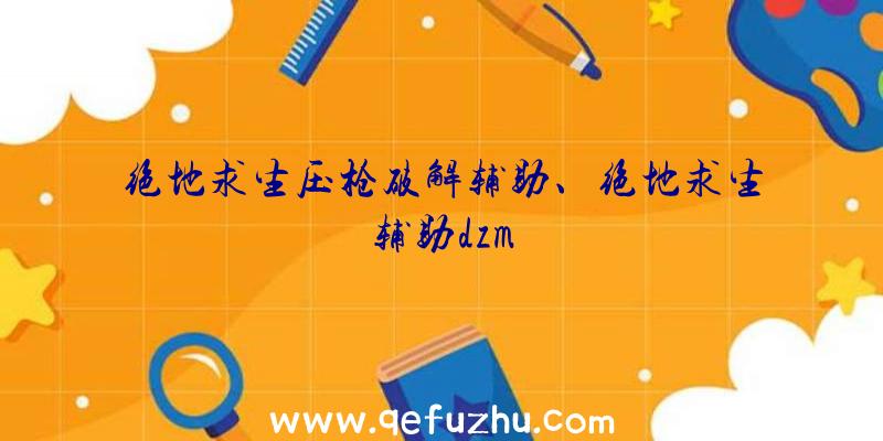 绝地求生压枪破解辅助、绝地求生辅助dzm