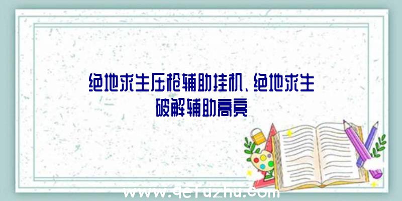 绝地求生压枪辅助挂机、绝地求生破解辅助高亮