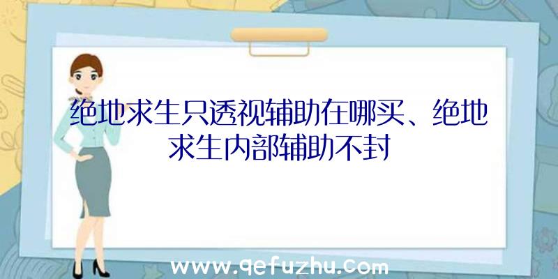 绝地求生只透视辅助在哪买、绝地求生内部辅助不封