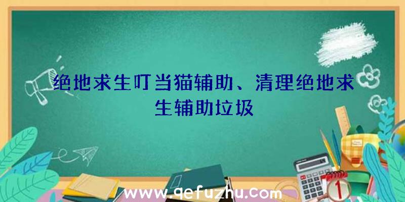 绝地求生叮当猫辅助、清理绝地求生辅助垃圾