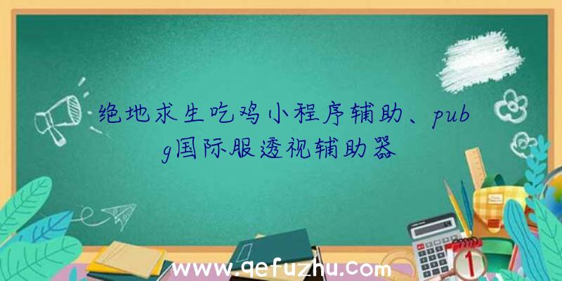 绝地求生吃鸡小程序辅助、pubg国际服透视辅助器