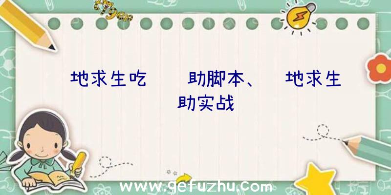 绝地求生吃鸡辅助脚本、绝地求生辅助实战