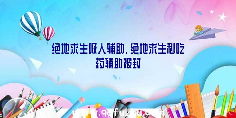 绝地求生吸人辅助、绝地求生秒吃药辅助被封