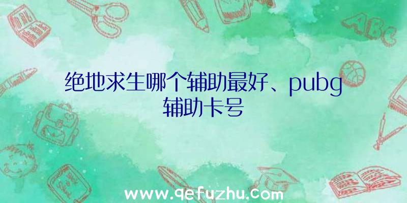 绝地求生哪个辅助最好、pubg辅助卡号