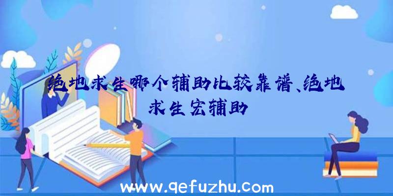 绝地求生哪个辅助比较靠谱、绝地求生宏辅助